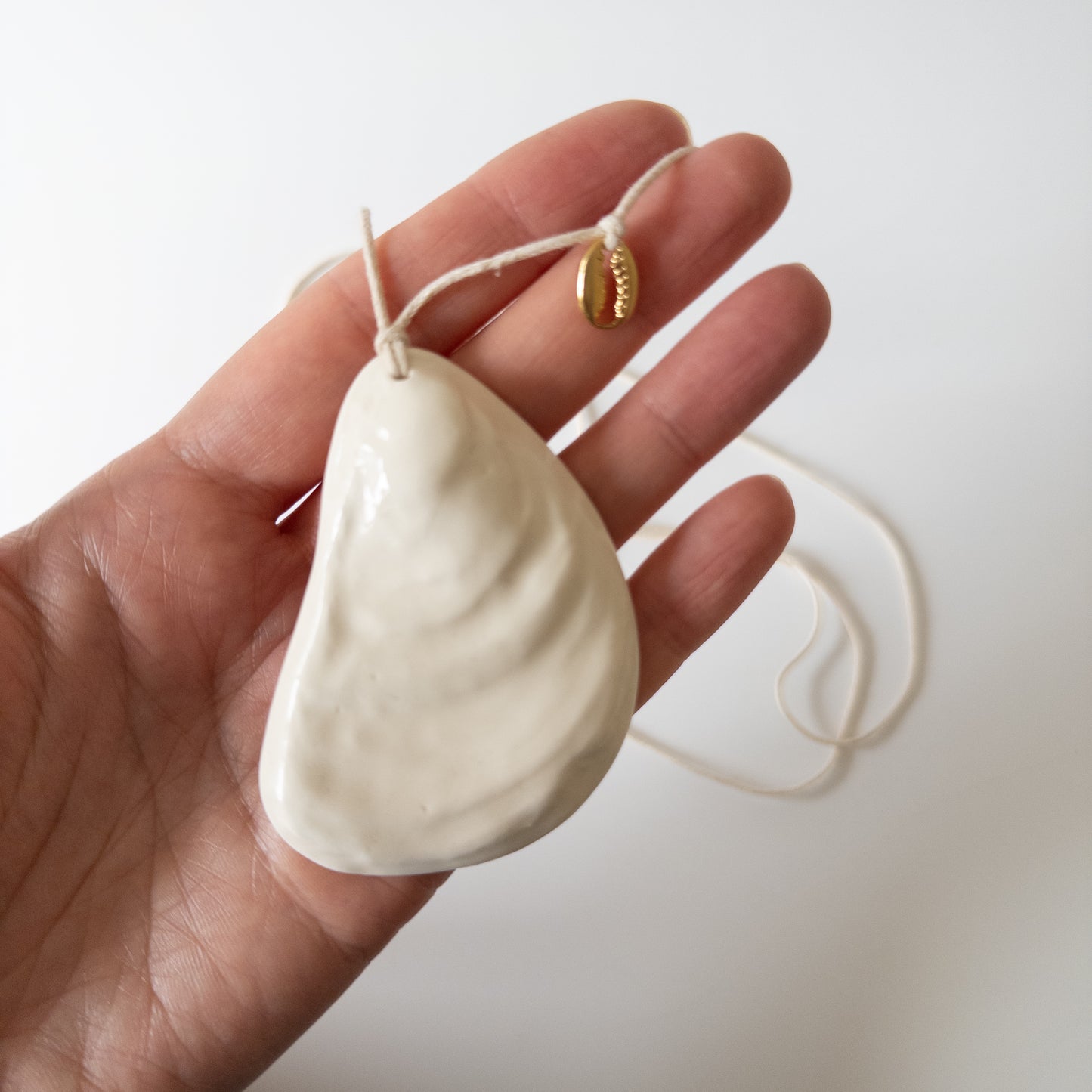 Oyster + metal cowrie