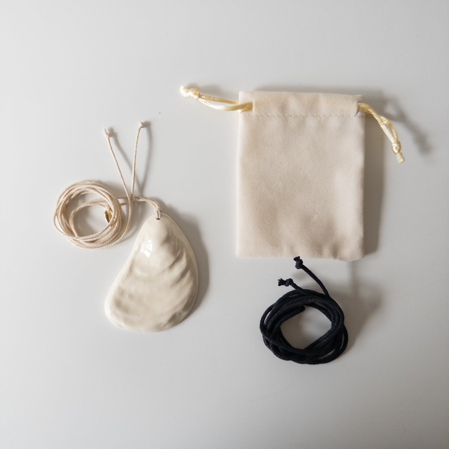 Oyster + metal cowrie