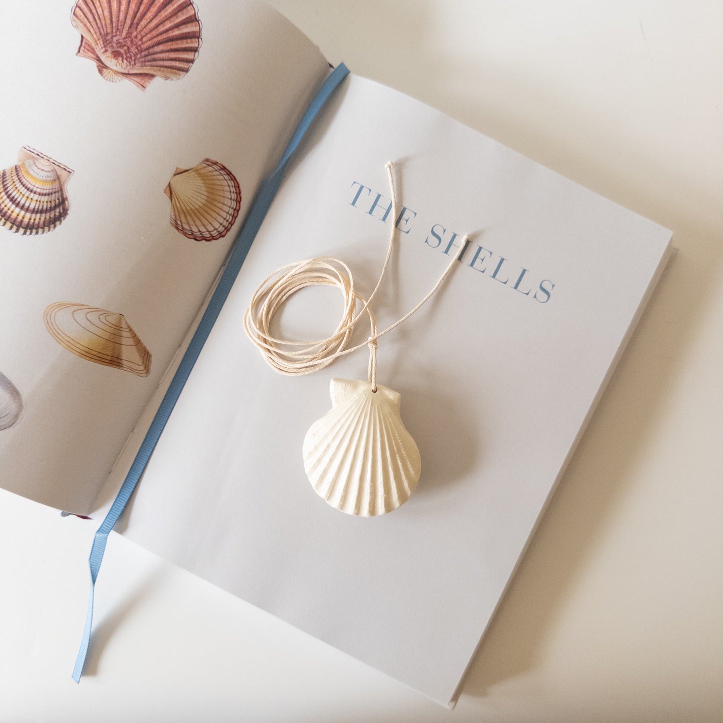 Мушля Гребінець міні [подвійна] біла