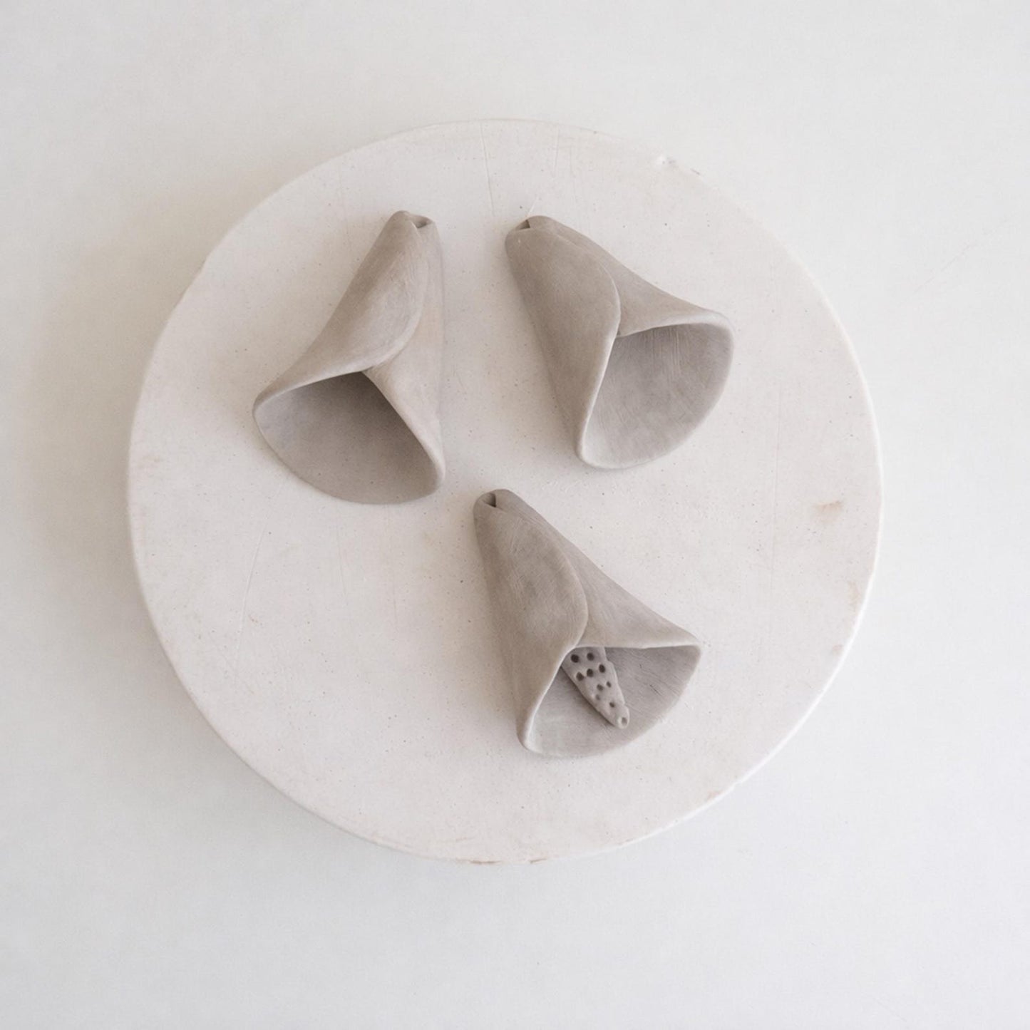 Calla lily with a tassel