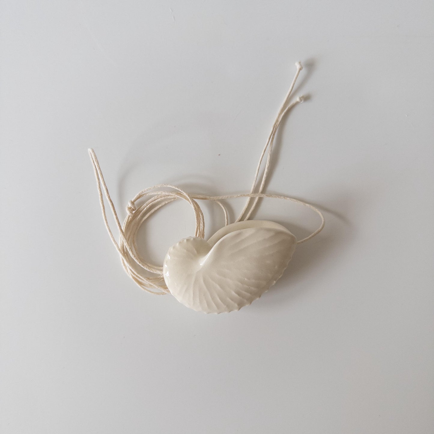 Мушля Октопус