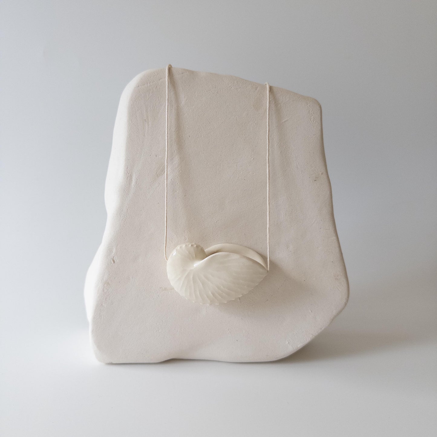 Мушля Октопус