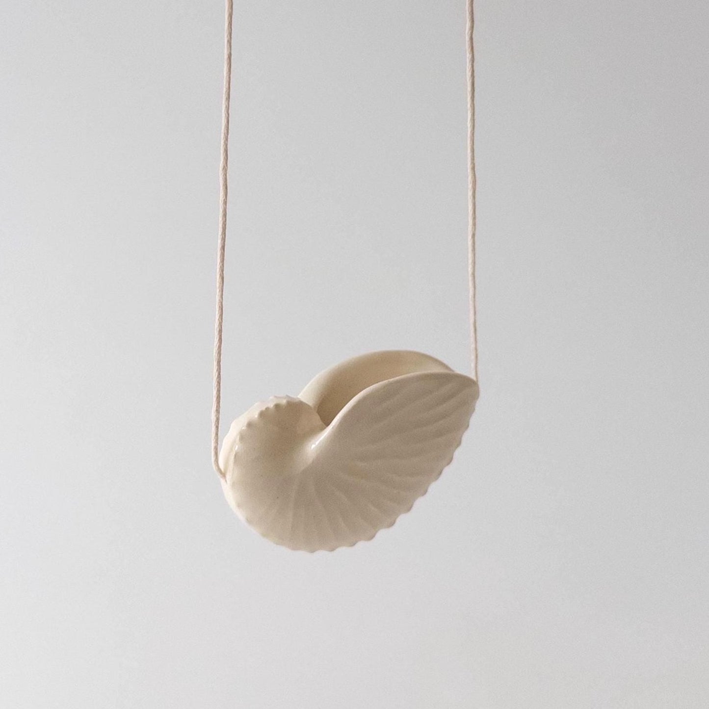 Мушля Октопус